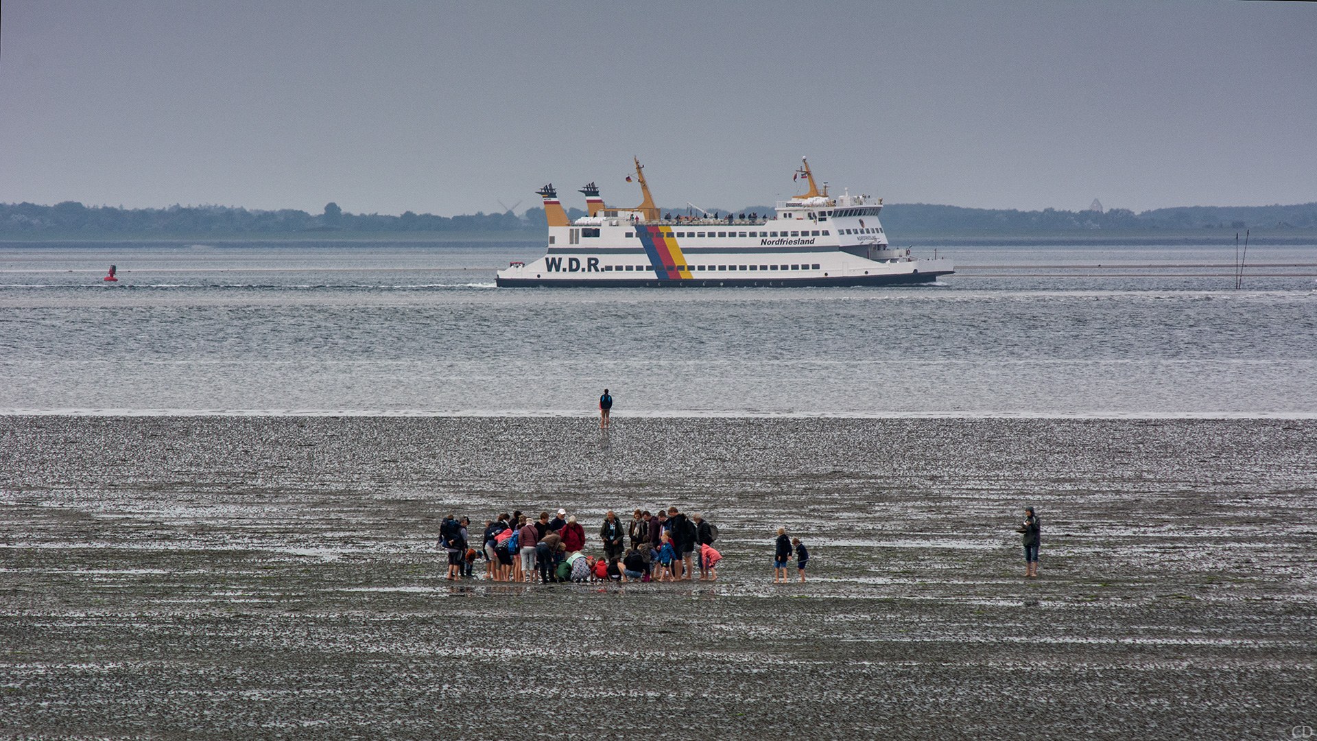 Weltnaturerbe Wattenmeer 