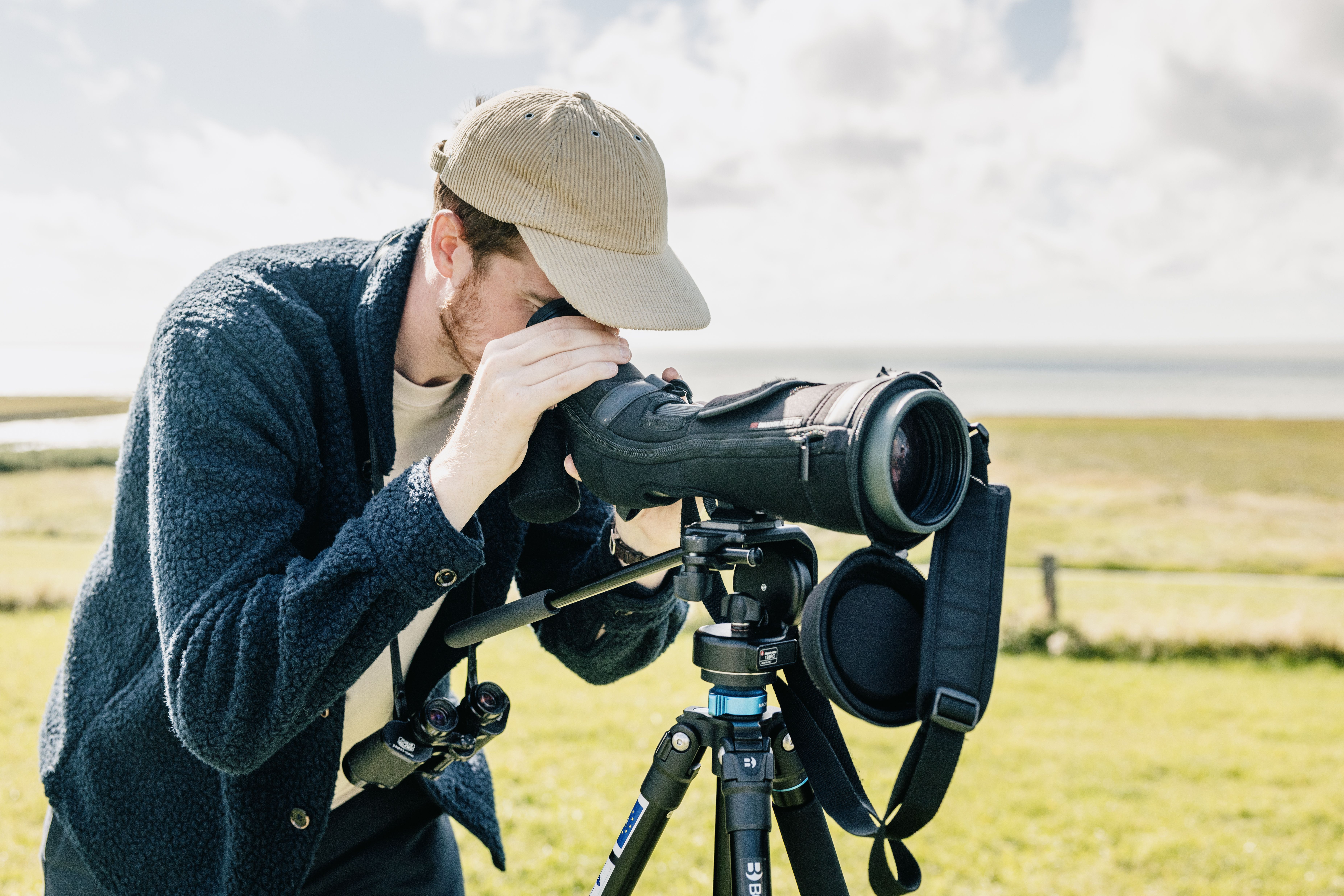 Vogelbeobachtung in Nordfriesland