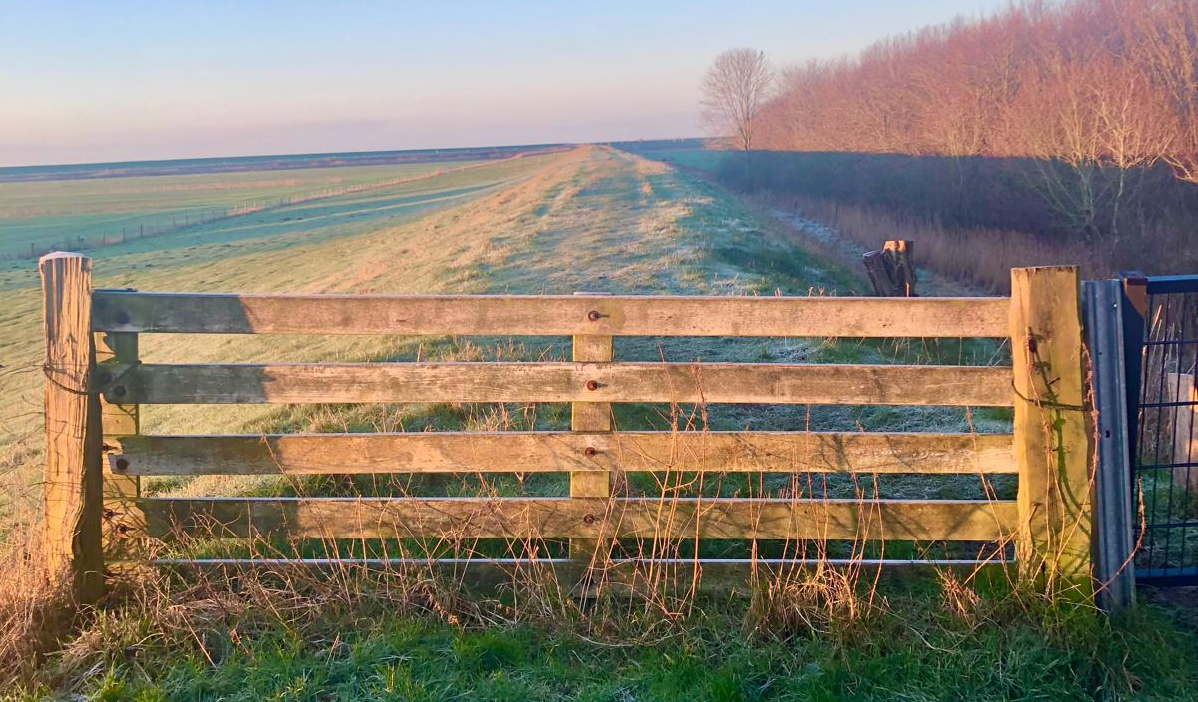 Deichwanderweg durch Dagebüll