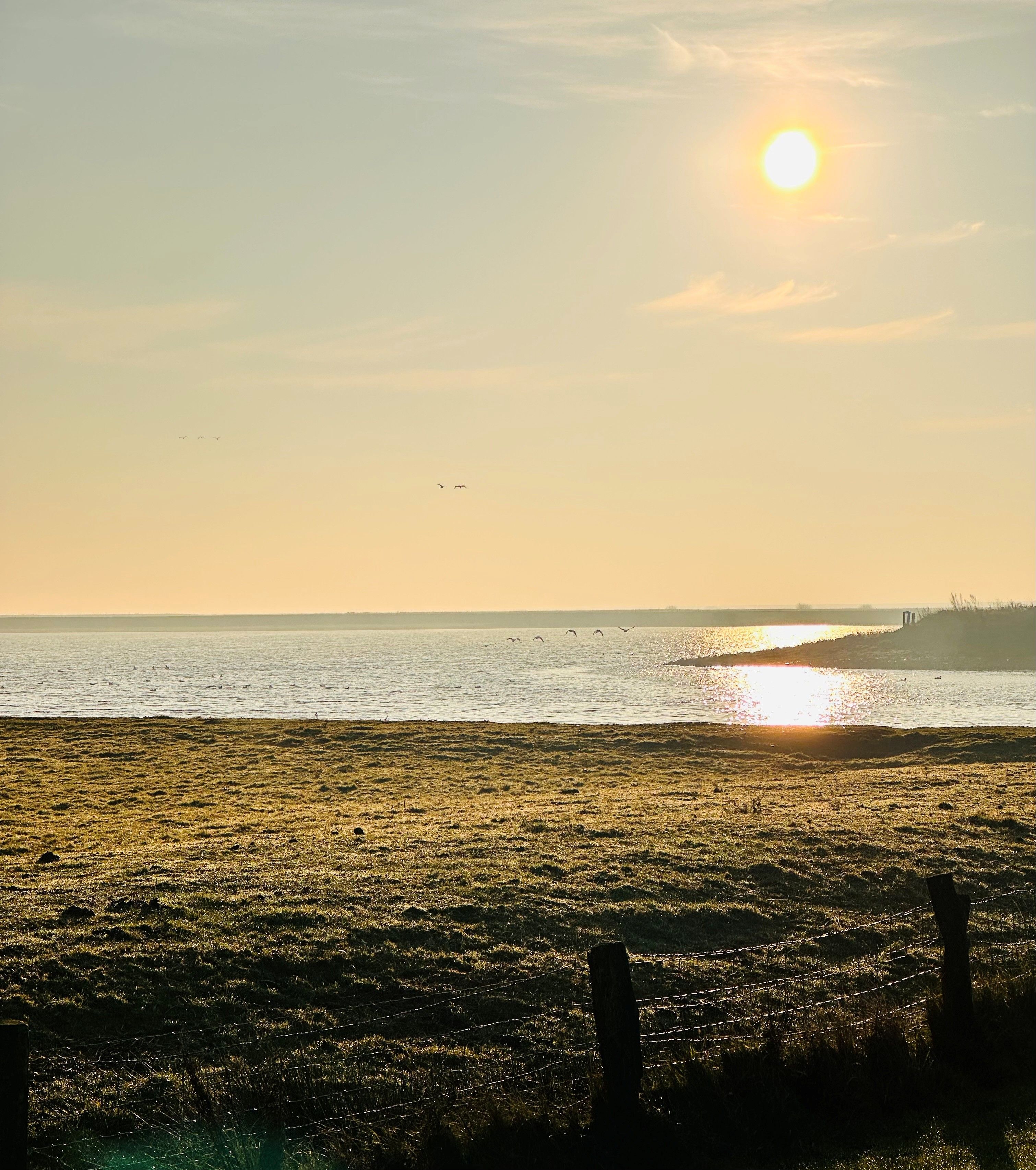Naturparadies Dagebüll
