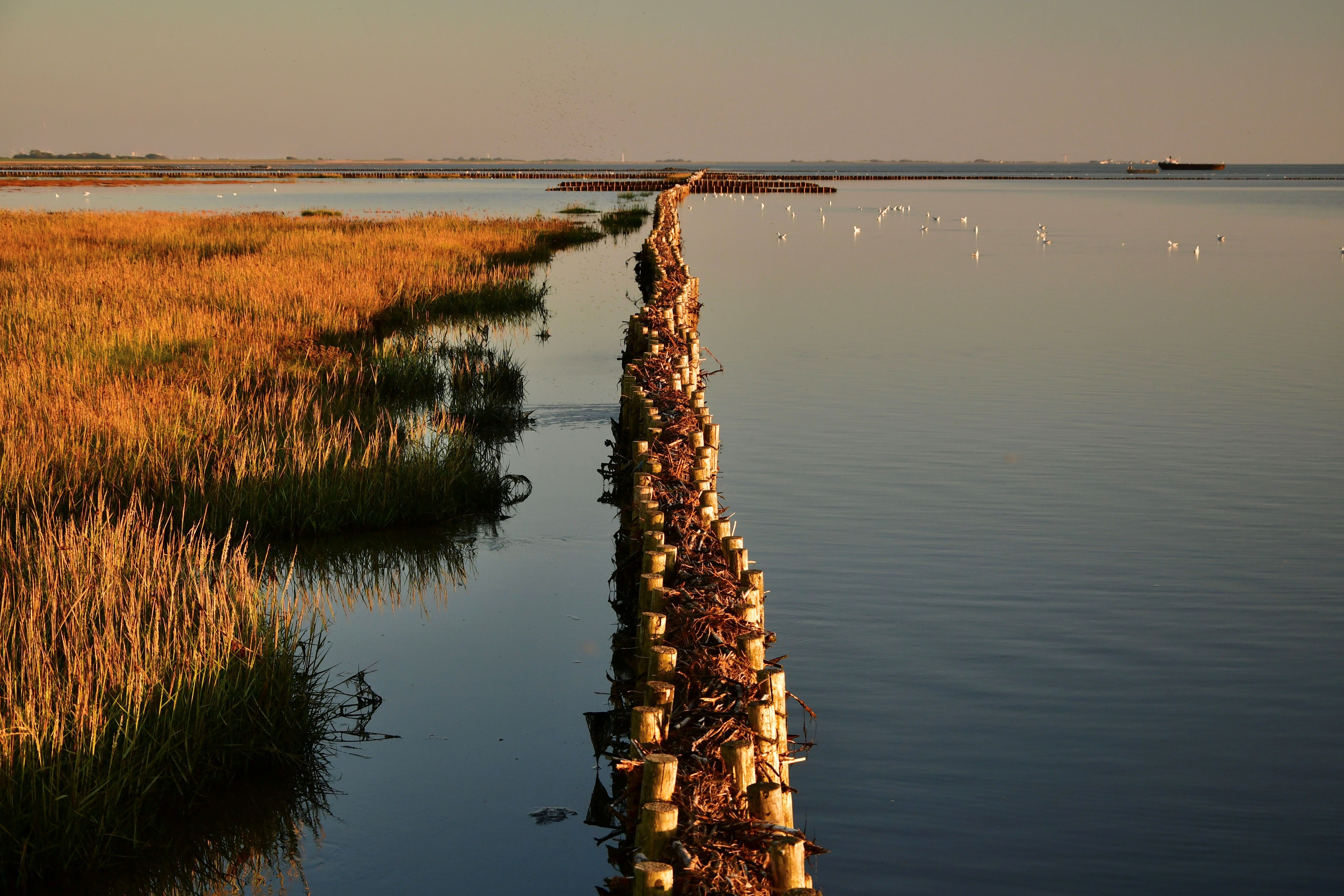 Wattenmeer im Herbst