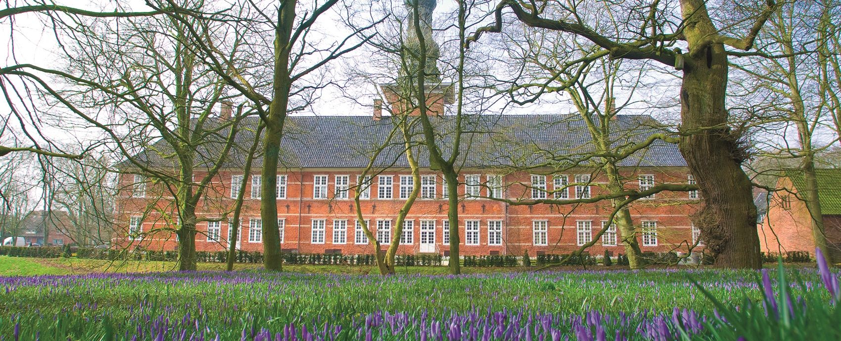 Das Schloss vor Husum mit den Krokusblüten