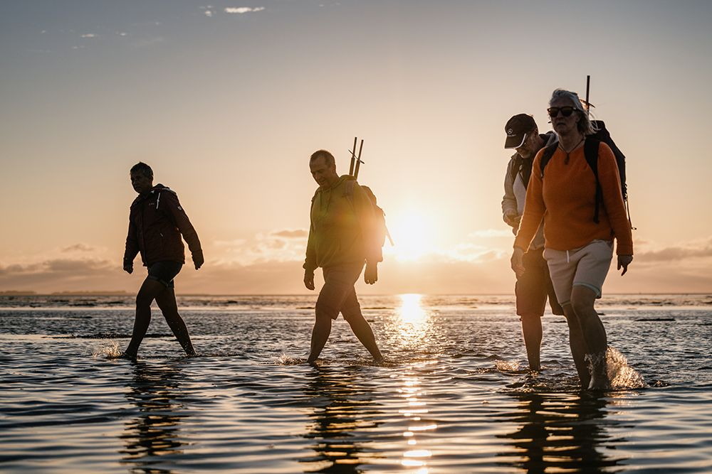 Urlaubserlebnisse Dagebüll