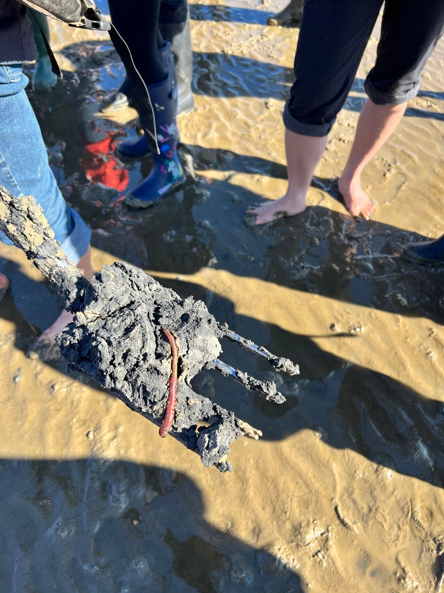 Wattwanderung zur Hallig Oland ab Dagebüll